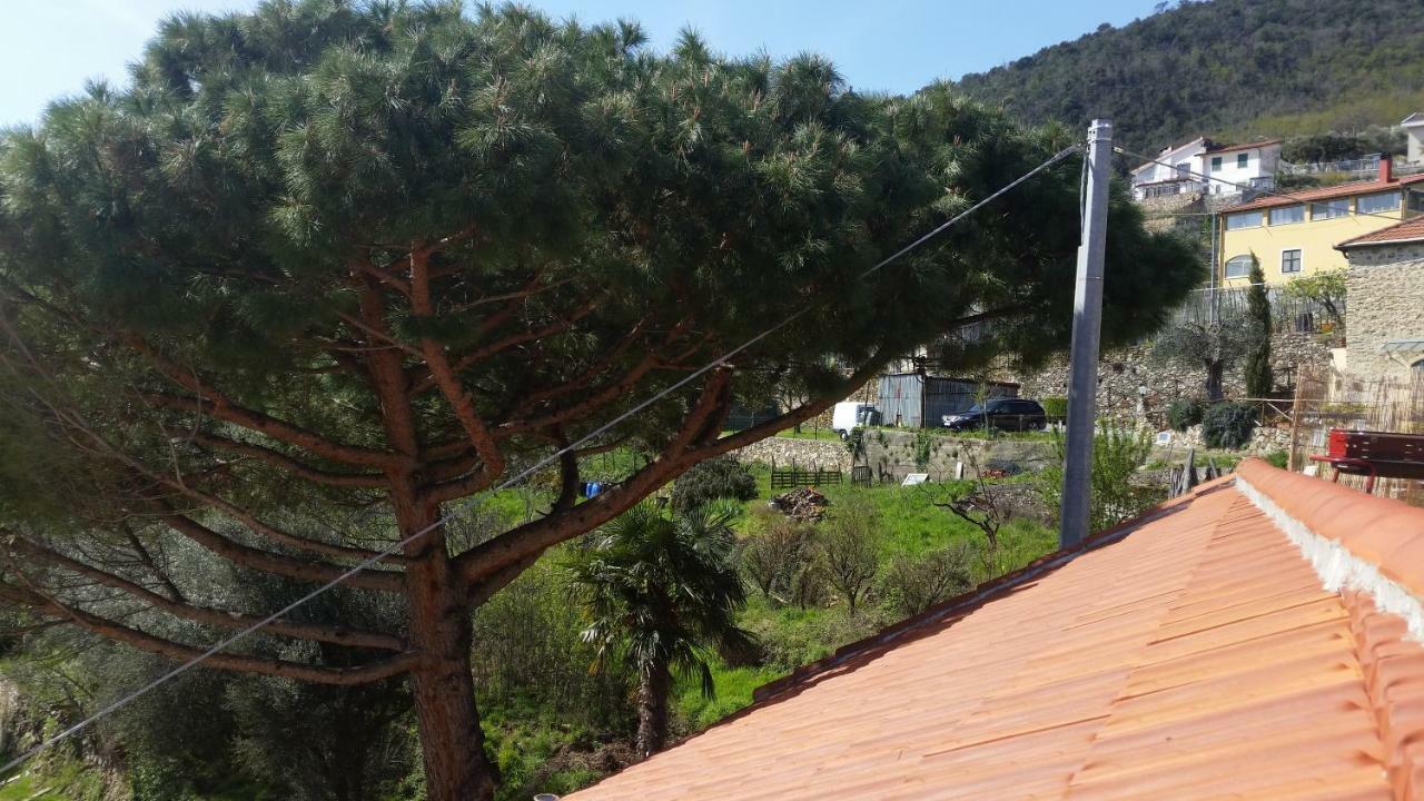 Sol Y Ombra Villa Voze Bagian luar foto